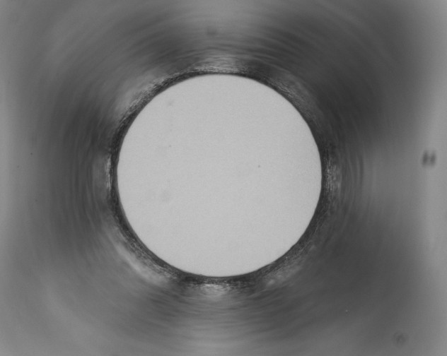 X0000114610302200911171041