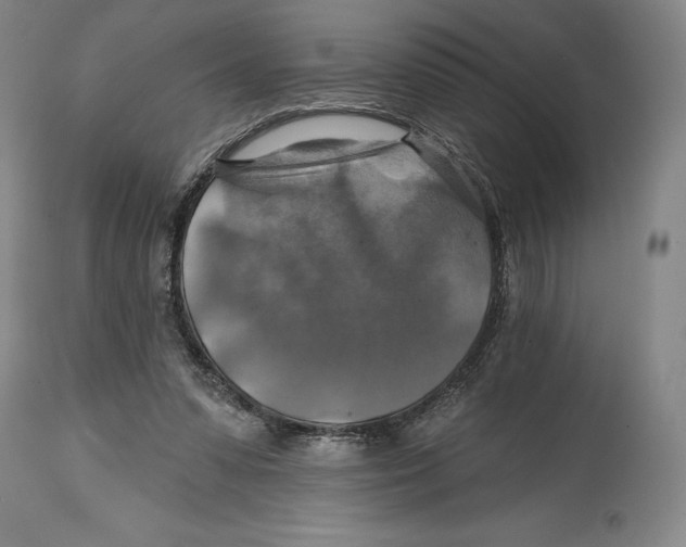 X0000114610303200911171041