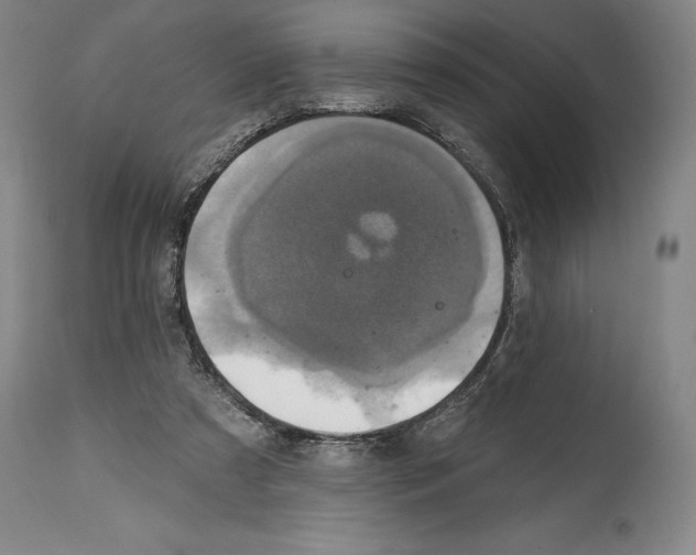 X0000114610305200911171041