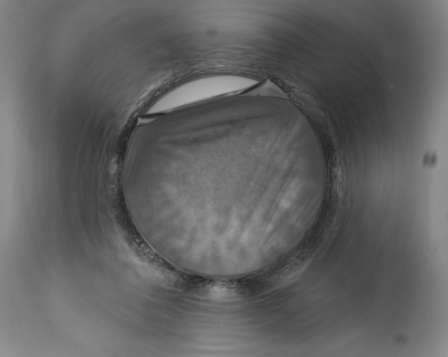 X0000114610308200911171041