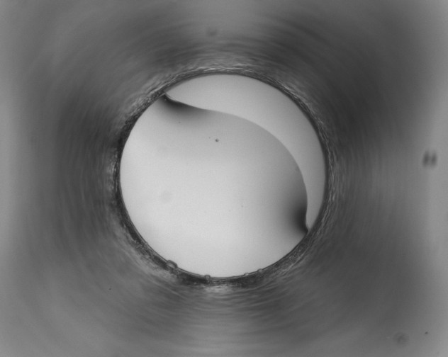 X0000114610309200911171041