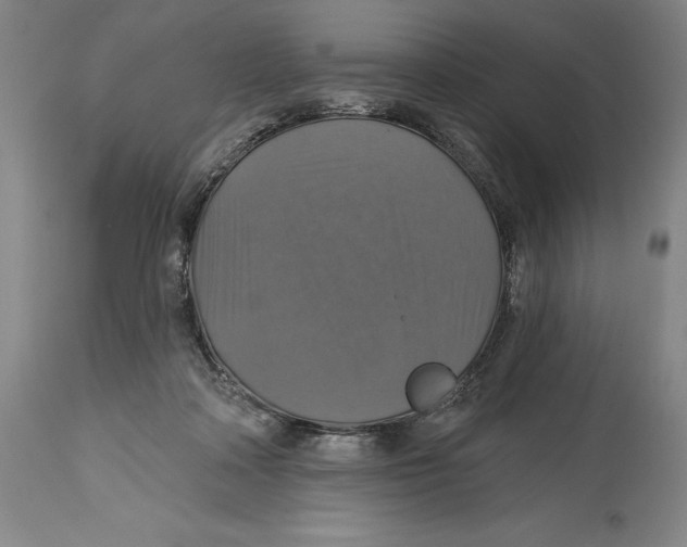 X0000114610314200911171041