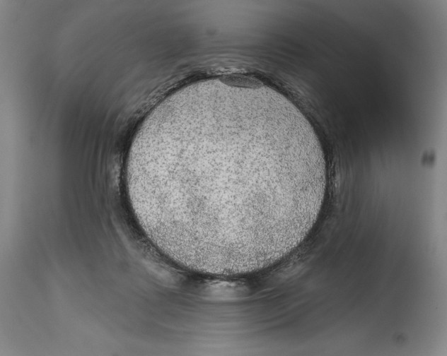 X0000114610315200911171041