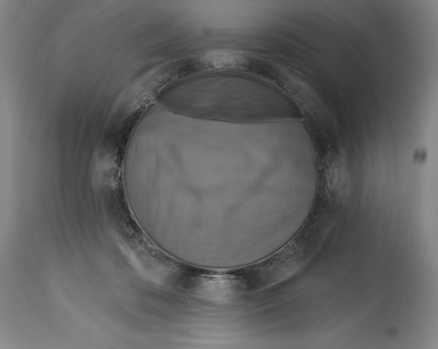 X0000114610316200911171041