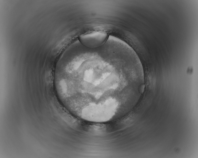 X0000114610317200911171041