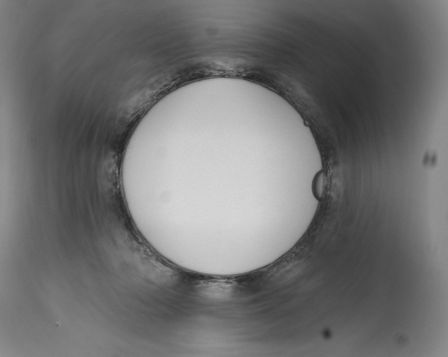 X0000114610318200911171041