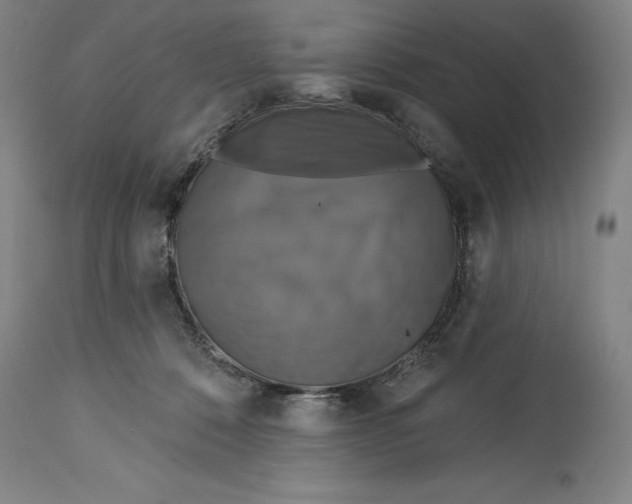 X0000114610320200911171041