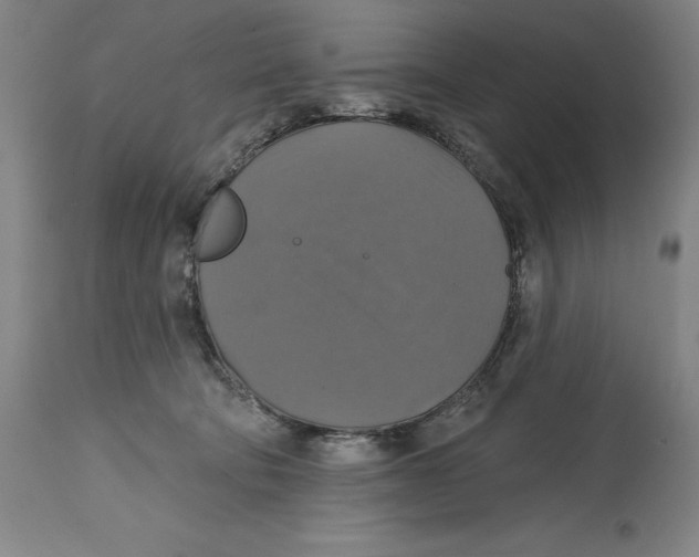 X0000114610322200911171041