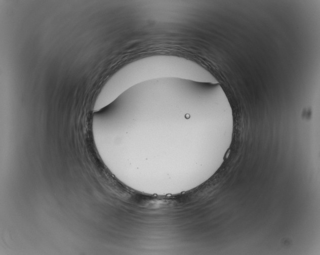 X0000114610323200911171041