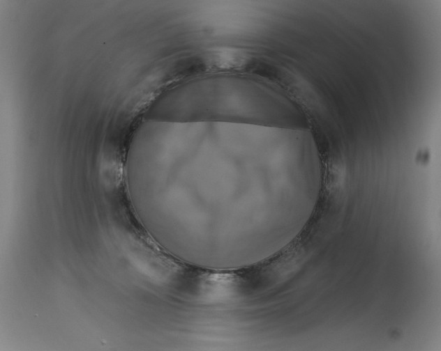 X0000114610324200911171041