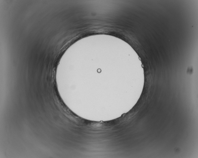 X0000114610325200911171041