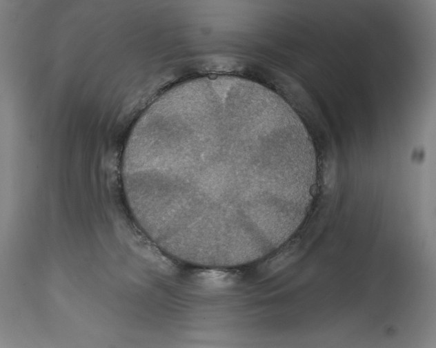 X0000114610326200911171041