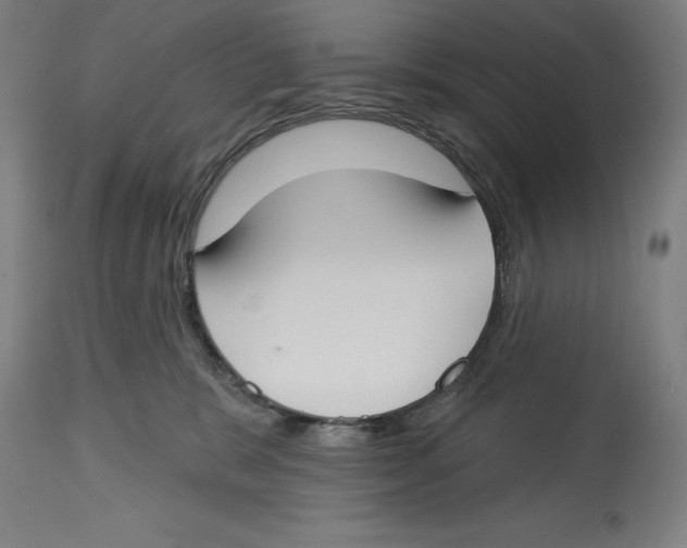 X0000114610327200911171041