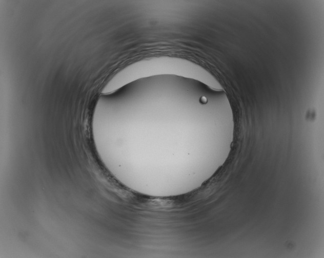 X0000114610328200911171041