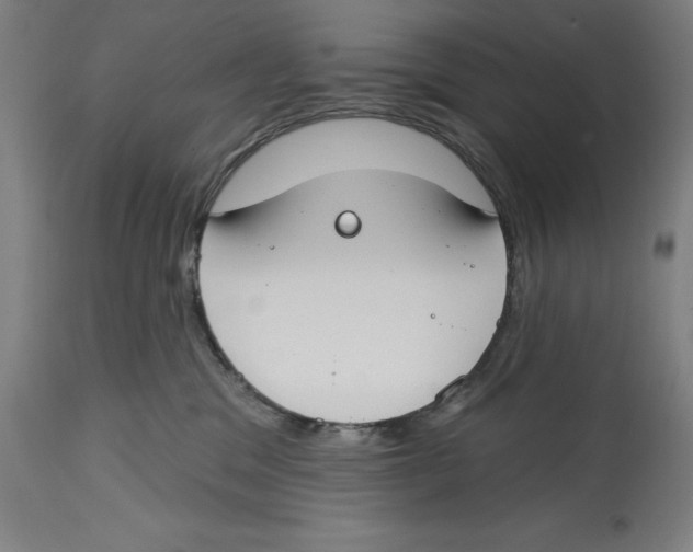 X0000114610329200911171041