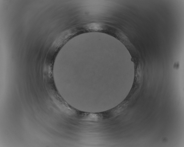 X0000114610330200911171041