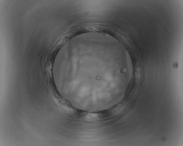 X0000114610332200911171041