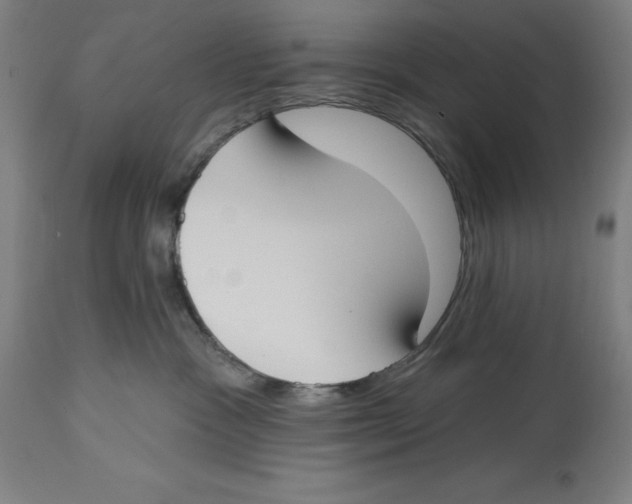 X0000114610333200911171041