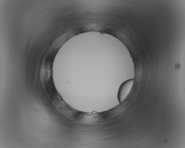 X0000114610334200911171040