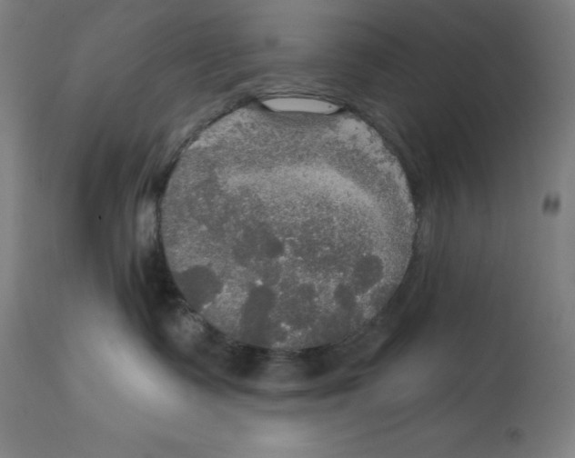 X0000114610335200911171040