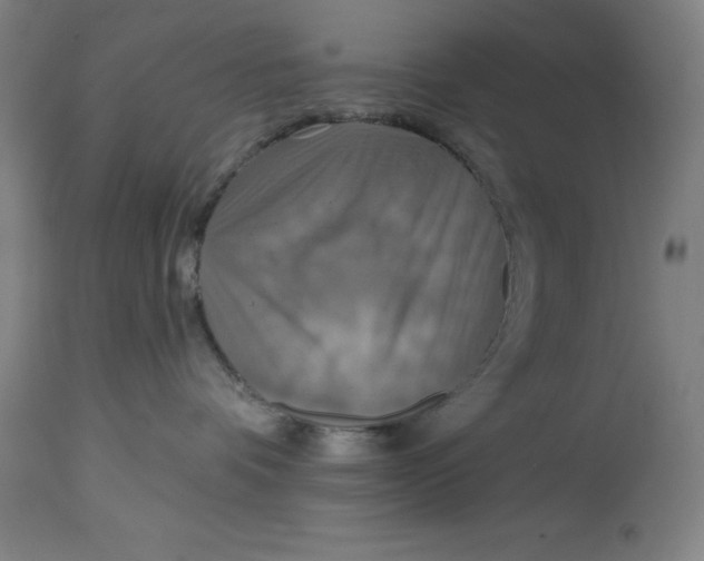 X0000114610336200911171040