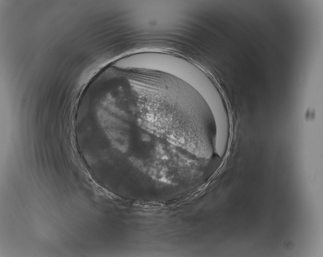 X0000114610337200911171040