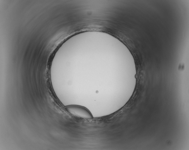 X0000114610338200911171040