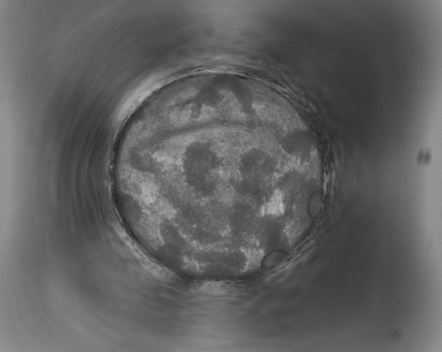 X0000114610341200911171040