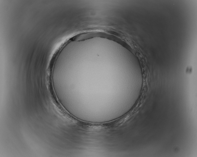 X0000114610342200911171040