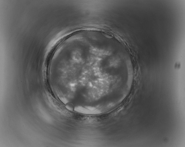 X0000114610343200911171040