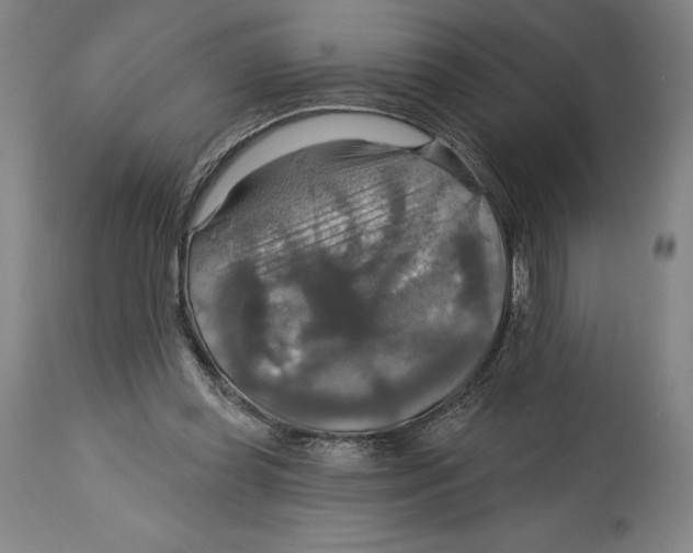 X0000114610349200911171040