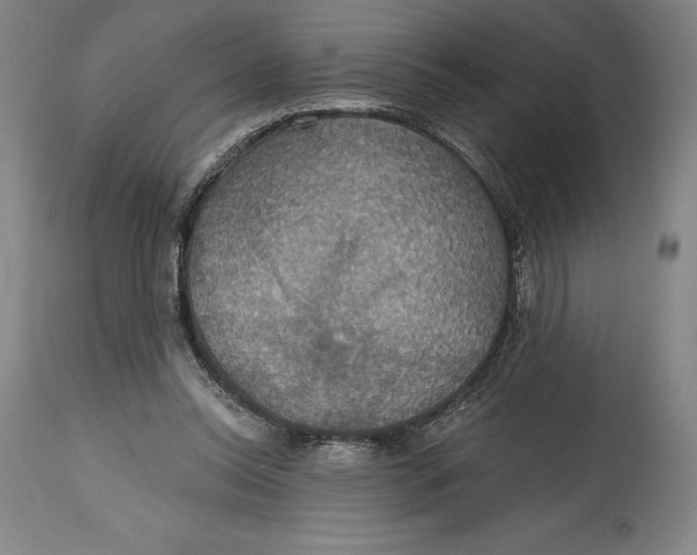 X0000114610350200911171040