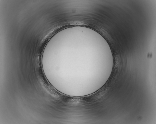 X0000114610351200911171040