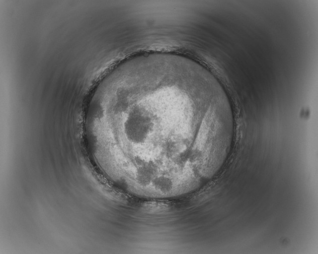 X0000114610354200911171040