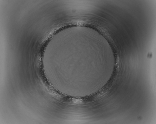 X0000114610355200911171040