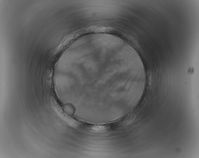 X0000114610357200911171040