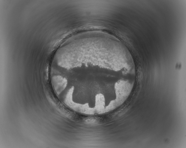 X0000114610358200911171040