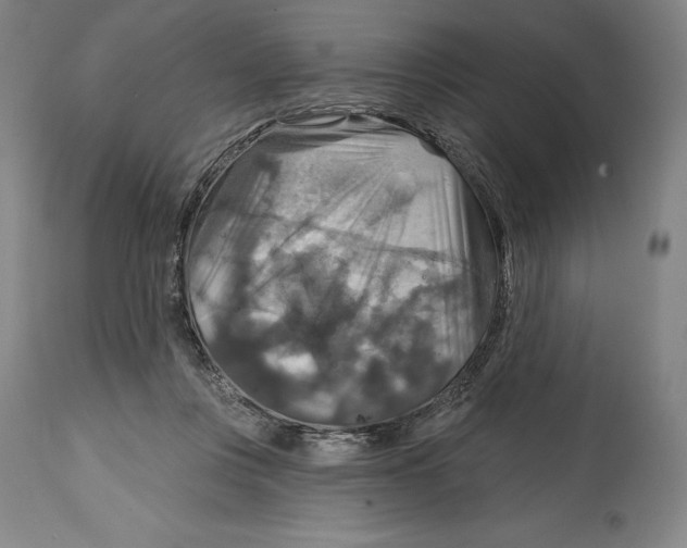 X0000114610359200911171040