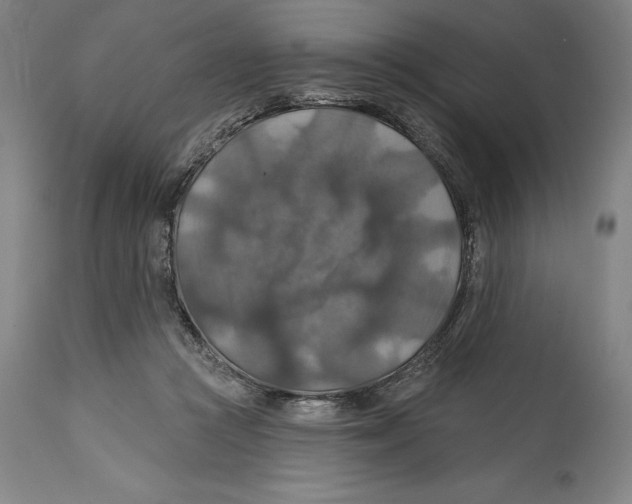 X0000114610361200911171040