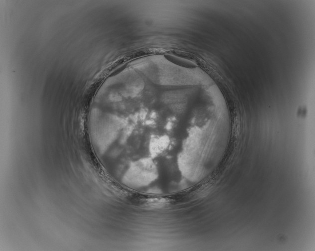 X0000114610363200911171040