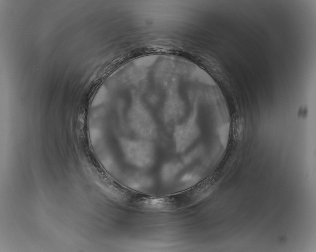 X0000114610365200911171040