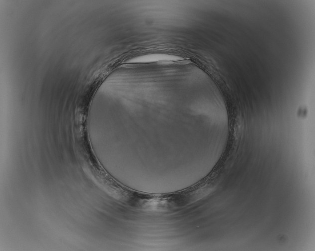 X0000114610366200911171040