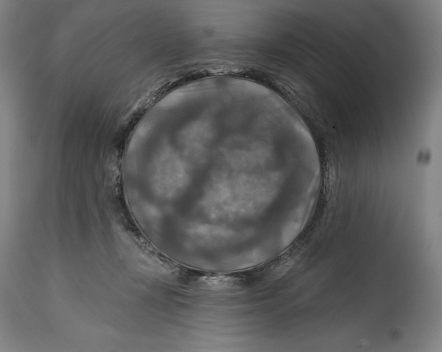 X0000114610367200911171040