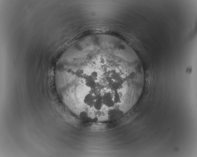 X0000114610369200911171040