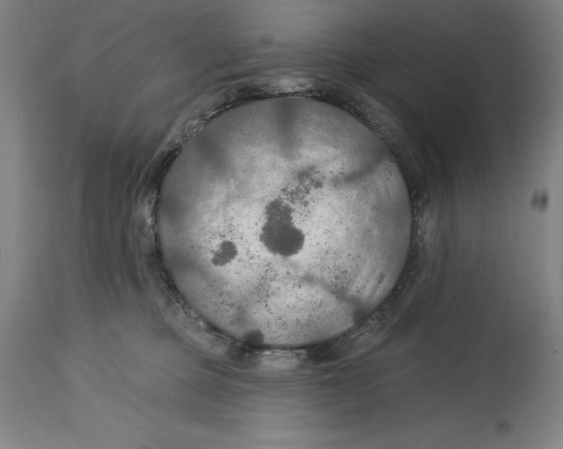 X0000114610373200911171040