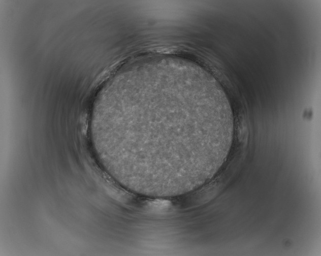 X0000114610374200911171040