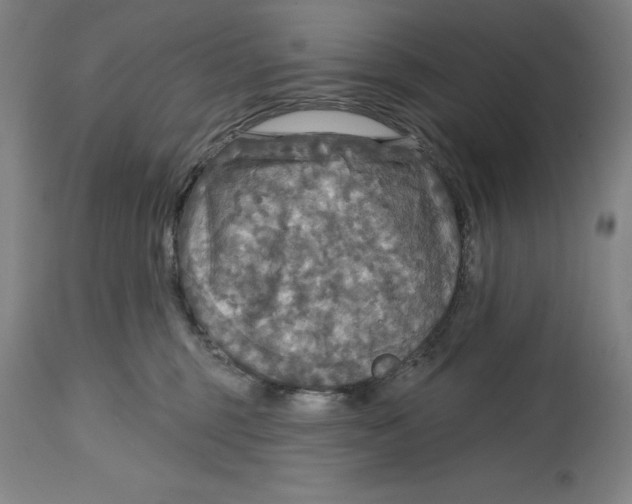 X0000114610375200911171040