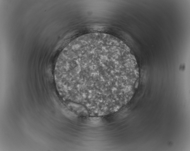 X0000114610377200911171040