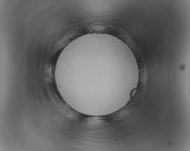 X0000114610378200911171040