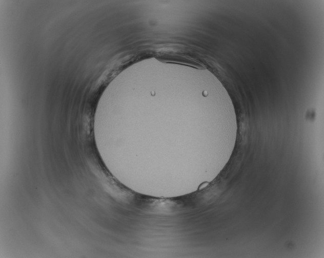 X0000114610379200911171040